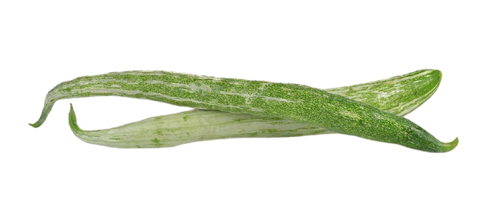 Picture of SNAKE GOURD(PP)-PKT