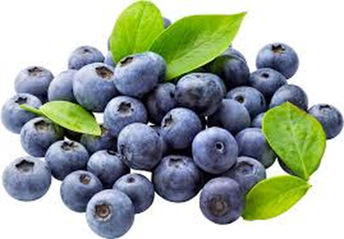 Picture of BLUEBERRIES (BOX)-PCS