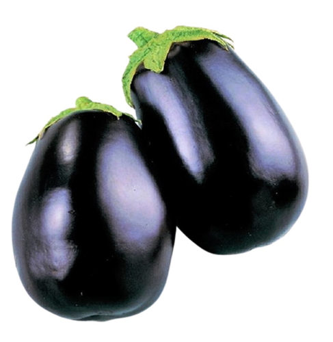 Picture of BUTTER EGG PLANT (PP)-PCS