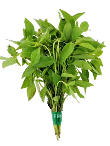 Picture of HTIKE BASIL 50G-PKT