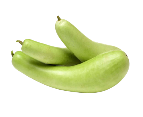 Picture of BOTTLE GOURD (PP)-PCS