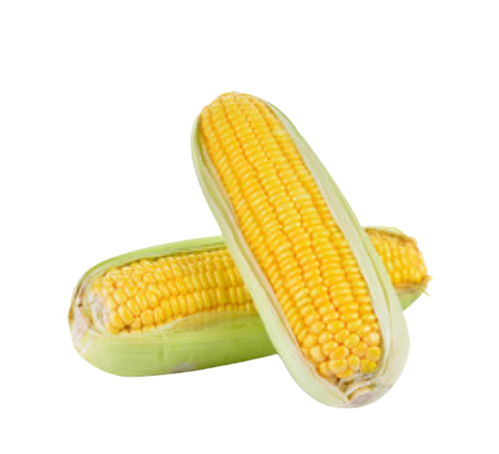 Picture of CORN(PP)-PKT