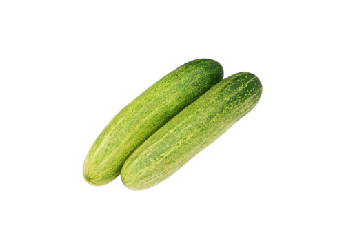 Picture of CUCUMBER SMALL (PP)-PKT