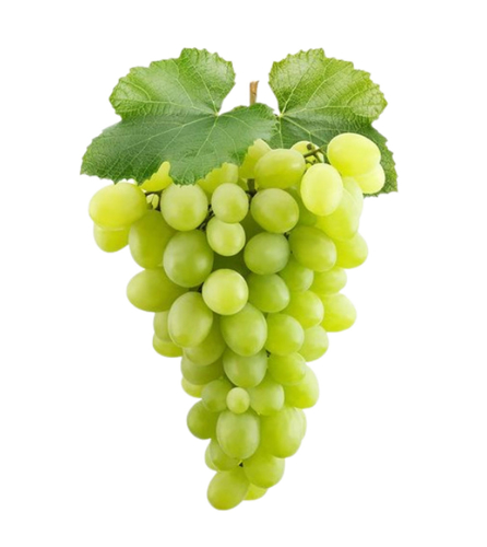 Picture of USA GREEN GRAPE SEEDLESS-TIC