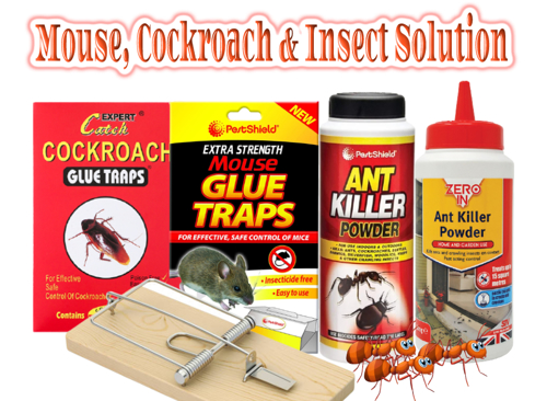 အမ်ိဳးအစား Mouse, Cockroach & Insect Trap အတြက္ ဓာတ္ပံု