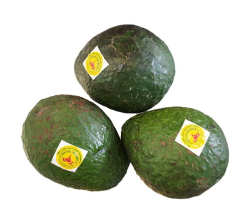 Picture of NHM HASS AVOCADO (140-180G)-PCS