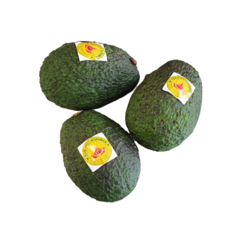 Picture of NHM HASS AVOCADO (80-100G)-PCS