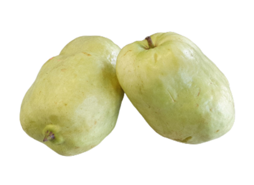 Picture of THAI SEEDLESS GUAVA-TIC